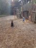 rps20170421_062243.jpg