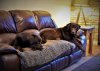 BEAR and Benson_DSC0496.jpg