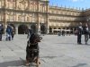 Brogan in the Plaza Mayor Salamanca Spain March 2012.jpg